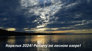 Карелия 2024! Ловлю на спиннинг с берега! Слил несколько щук! Разучился ловить! Природа севера!