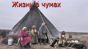 Жизнь людей в чумах...