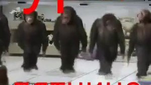 Танцующи мартишки