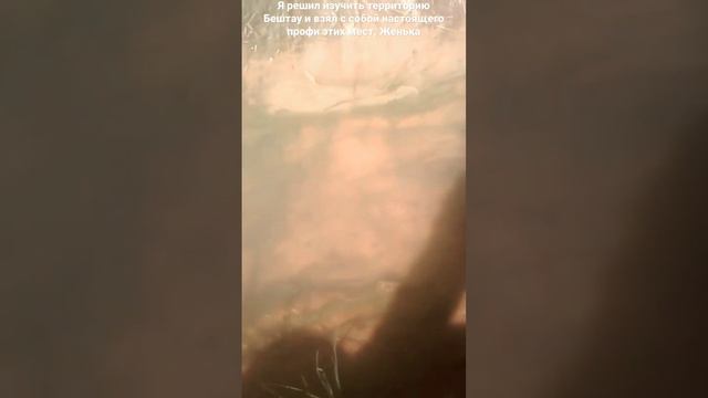 Бештау. 16 Штольня. 2018 (ранее у входной двери было большое озеро) смотреть онлайн