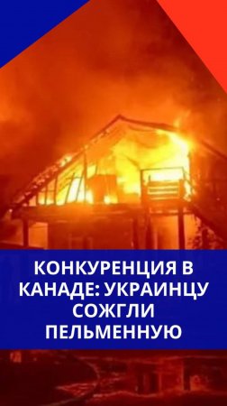 В Канаде устроили разборки беженцу с Украины. Как он пострадал и за что — смотрите на видео