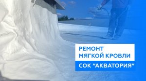 Ремонт крыши бассейна из рулонной кровли жидкой кровлей "Однова" (Акватория, Лопатино)