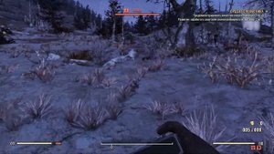 Fallout 76: Wastelanders - 100% Спаун Белки !