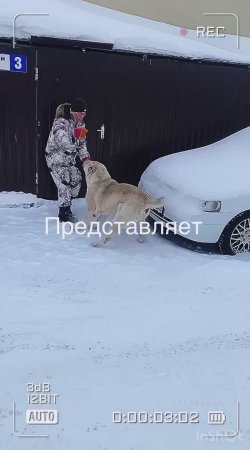 Алабай, ( ДК.Дружба, дружный проезд 3)