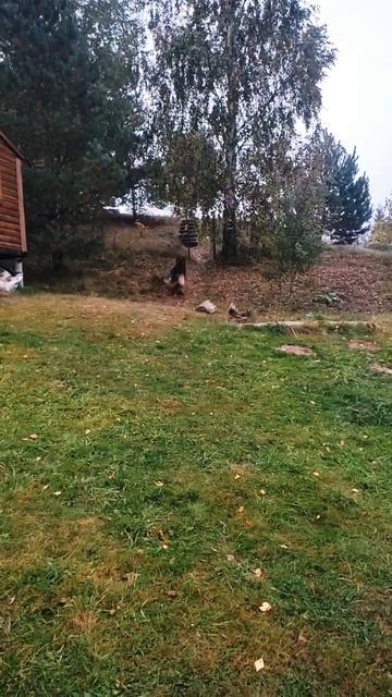 Бег с препятствиями 😜 смотреть онлайн