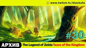 The Legend of Zelda Tears of the Kingdom #30. Стрим шестнадцатый - Правда про Зельду [АРХИВ]
