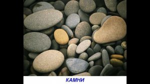 Презентация для детей по Доману - Природа