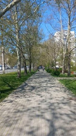 Весенние прогулки в парке.Апрель в Сеаамтополе 2025