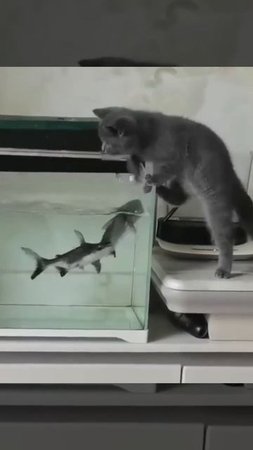 Опасная добыча