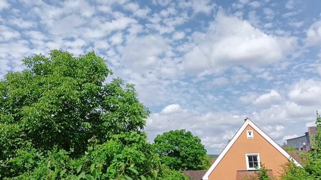 Ольга Валерьевна. Похудеет без тренировок? 11 01 2024 ОВ (Eng/Germ- subtitles) смотреть онлайн