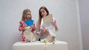 НАШ ПИТОМНИК ЧИХУАХУА «БЛЕСТЯЩАЯ МЕЧТА»!