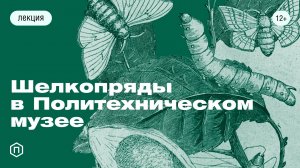Шелкопряды в Политехническом музее