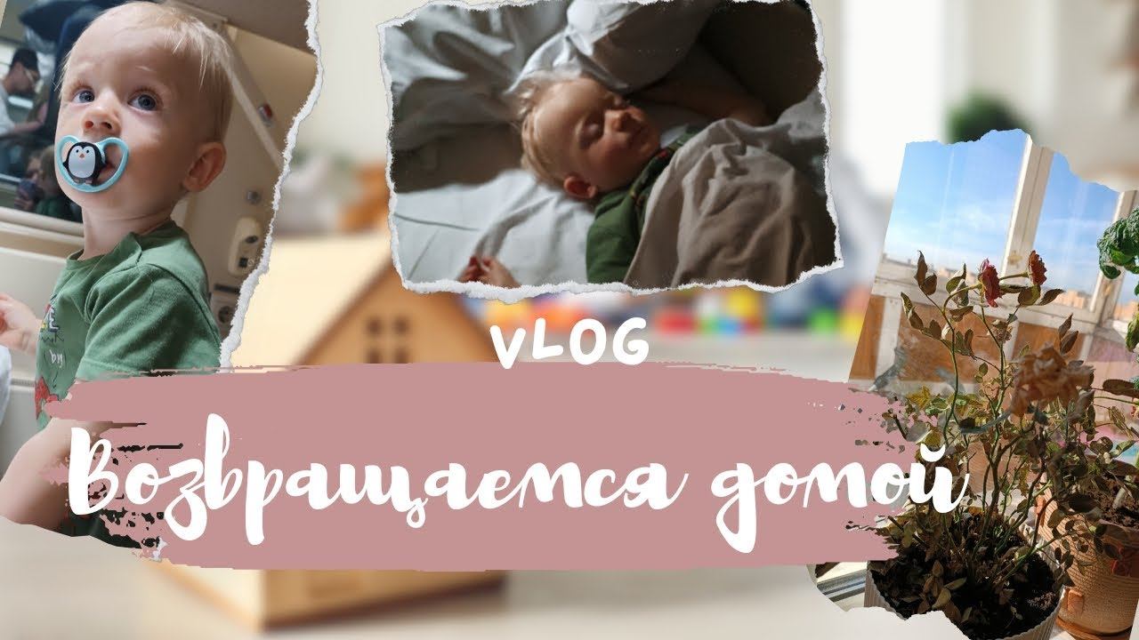 VLOG: Едем домой | Причина температуры | Засох цветок