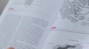 Учебник Функциональная морфология человека