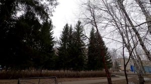 Забавный случай при покупке автомобиля