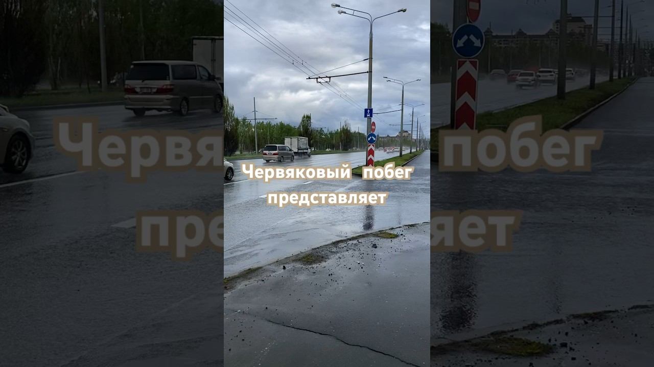 Оказывается им не хватает кислорода ,норы затапливаются и они «бегут» дышать. #казань #червяк смотреть онлайн