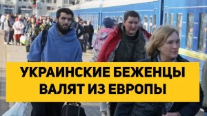 УКРАИНСКИЕ БЕЖЕНЦЫ ВАЛЯТ ИЗ ЕВРОПЫ. ПЕРСПЕКТИВЫ НЕТ!