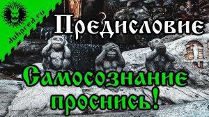 Предисловие. Самосознание проснись!