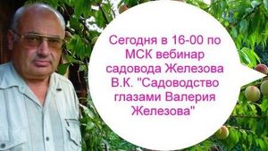 Вебинар Валерия Железова №337