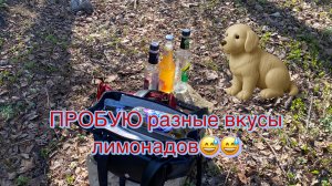 Пробую разные вкусы лимонадов😳😱