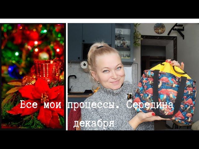 Все мои процессы. Середина декабря. Сумки для вязания. Книги смотреть онлайн