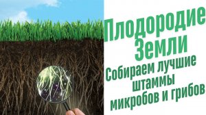 Лучшие органические удобрения.