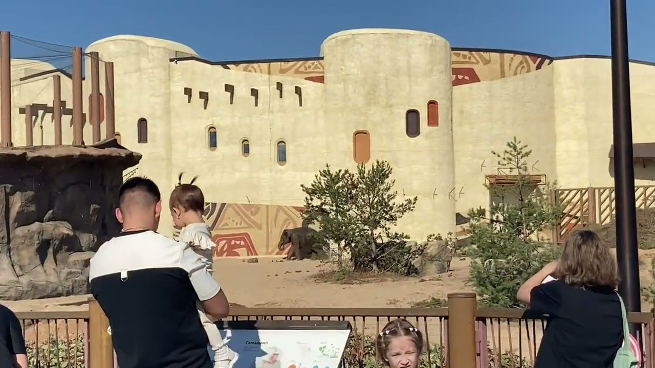 Влог top - Выбираю светильник/Новый житель Зоопарка, все пришли смотреть смотреть онлайн