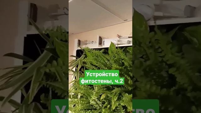 Устройство фитостены, ч.2. #фитоконструкция #фитостена #фитомодуль #вертикальноеозеленение #отделка