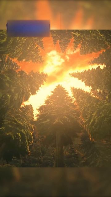 Тандзиро сражается против Сабито😉😌#аниме #клинокрассекающийдемонов смотреть онлайн