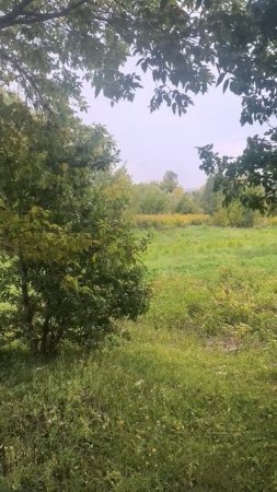 На прогулке в городе