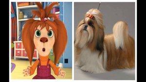 БАРБОСКИНЫ В РЕАЛЬНОЙ ЖИЗНИ