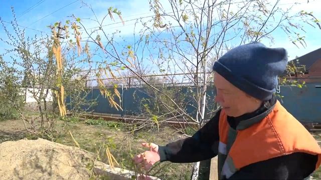 Темрюк.На Кубани такая земля,палку воткни и она прорастёт.Жизнь у моря.