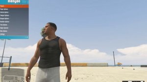 ПОШАГОВАЯ  УСТАНОВКА ТРЕНЕРА ДЛЯ GTA5