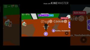 Как быстро заработать много денег в адопт ми?