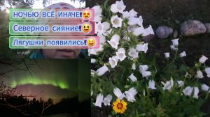 26.06.2024 Пушистый ХРЕН!😃Делаем ЭТО 🚿ночью!🥵Ночью как днём_БЕЛЫЕ НОЧИ!🌌🏙 Соловьи поют.🕊