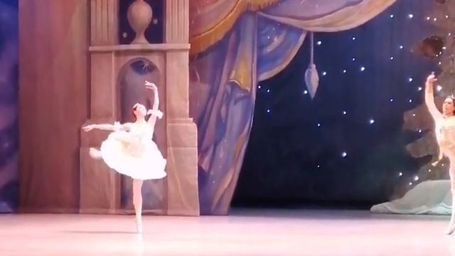 Ксения Овчинникова и Педро Сеара кода Щелкунчик 31 декабря 2023