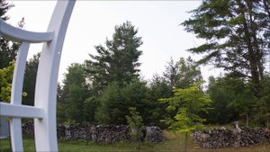 TTArtisan 7.5mm F2 Обзор (APS-C)