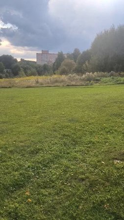 Большой луг