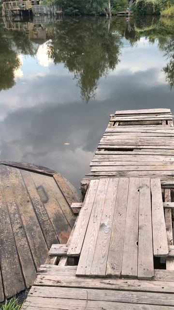 Прудик в городе