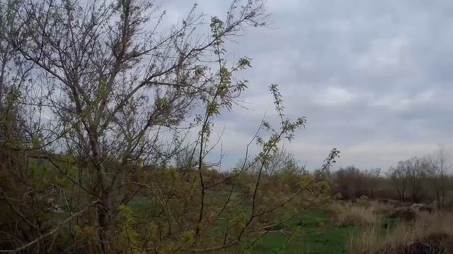 Сталк заброшенной дороги.😊