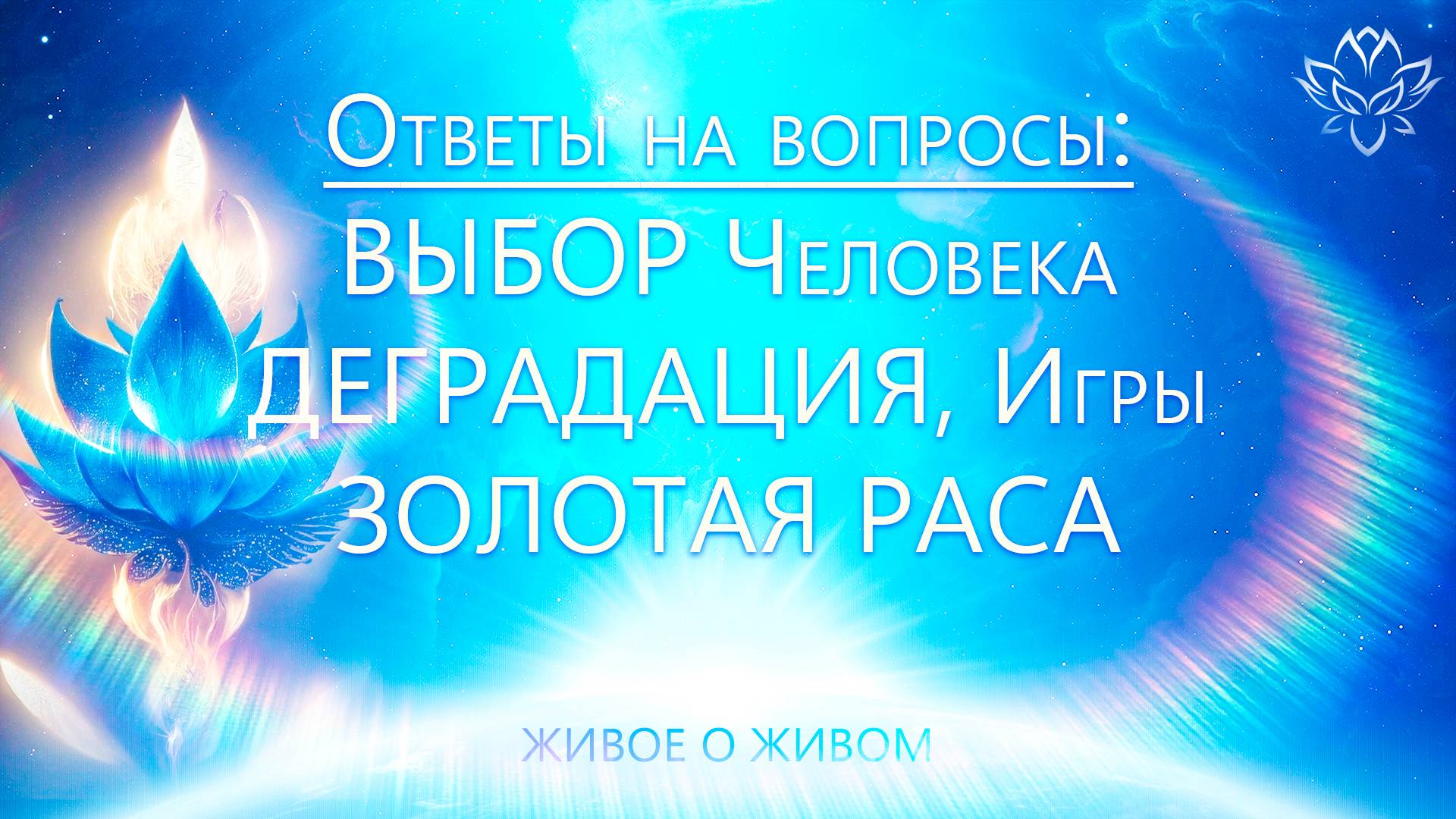 Выбор человека. Игромания. Золотая Раса