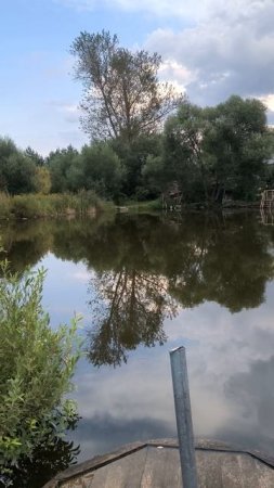 На пруду