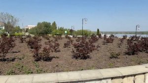 Краеведческая рубрика "Бот-экскурсовод"
"Улица Космонавтов. Поехали!"