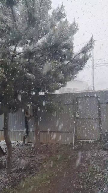 самара 🤡 28 апреля... у кого тоже снег? смотреть онлайн