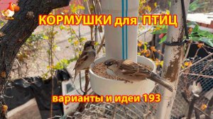 Кормушка для птиц своими руками как сделать пошагово  (193) 🪚🪛🔨 Идеи для дачи и сада❣️