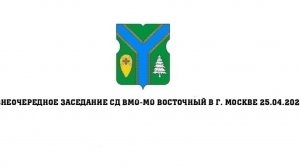 Внеочередное заседание СД ВМО-МО Восточный в г. Москве 25.04.2025