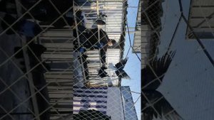 Ярмарка голубей в Туле 20.03.21 3-часть(1)