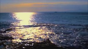 Крутое сочетания природа, музыка и саксофон
