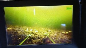 На 8 день закорма пришёл карп!!!.mp4