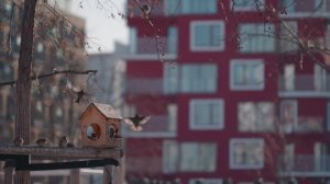 «Европейский квартал» в Тюмени